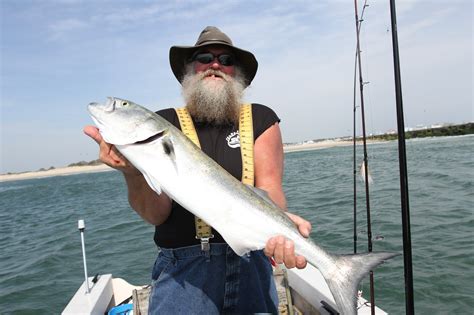 廣州哪裏有青魚釣？探尋城市中的釣魚樂趣